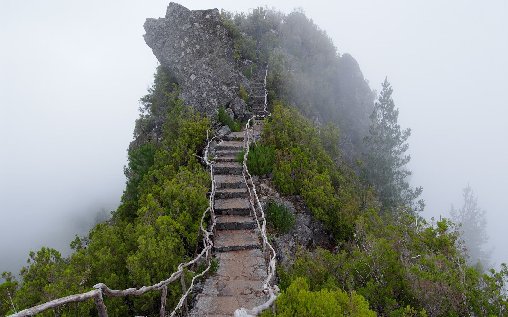 世界登山锦标赛:险峰挑战者书写勇者篇章,世界登山运动员排名